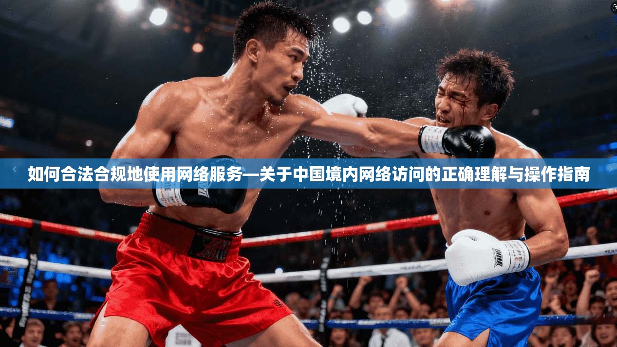 如何合法合规地使用网络服务—关于中国境内网络访问的正确理解与操作指南 如何合法合规地使用网络服务—关于中国境内网络访问的正确理解与操作指南