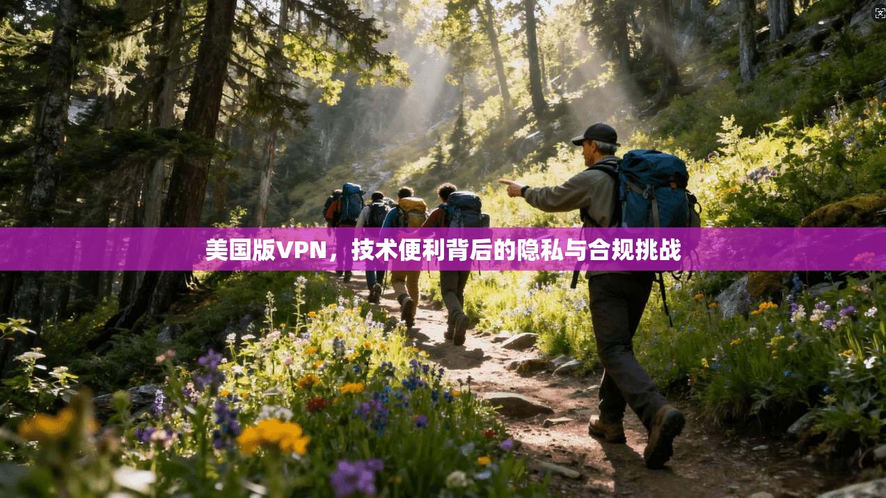 美国版VPN,技术便利背后的隐私与合规挑战 美国版VPN,技术便利背后的隐私与合规挑战