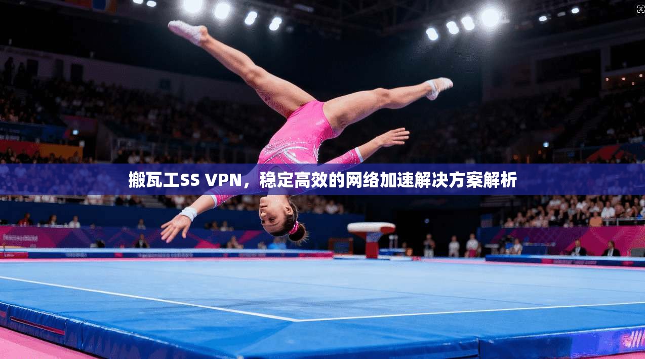 搬瓦工SS VPN，稳定高效的网络加速解决方案解析