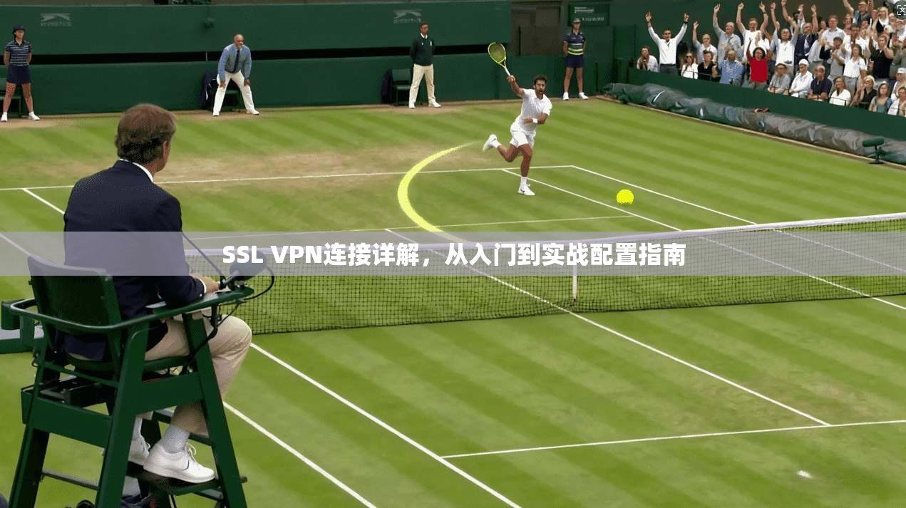 SSL VPN连接详解，从入门到实战配置指南