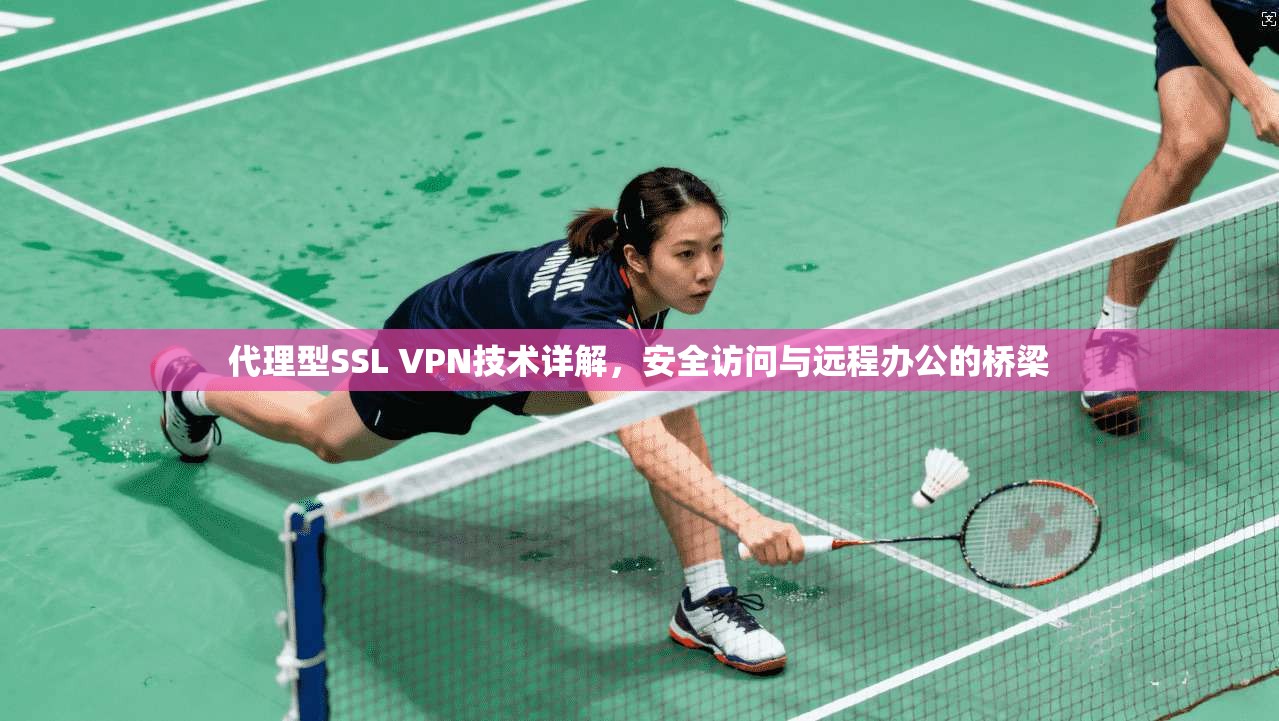 代理型SSL VPN技术详解，安全访问与远程办公的桥梁