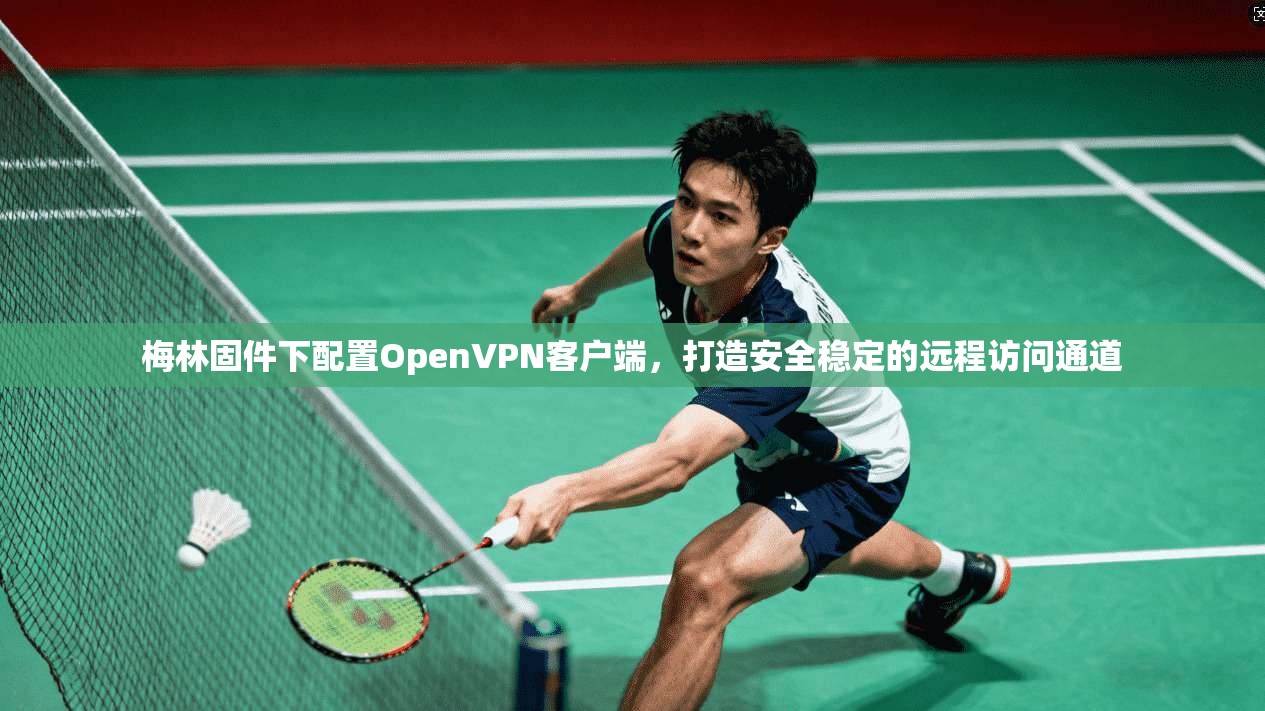 梅林固件下配置OpenVPN客户端,打造安全稳定的远程访问通道 梅林固件下配置OpenVPN客户端,打造安全稳定的远程访问通道