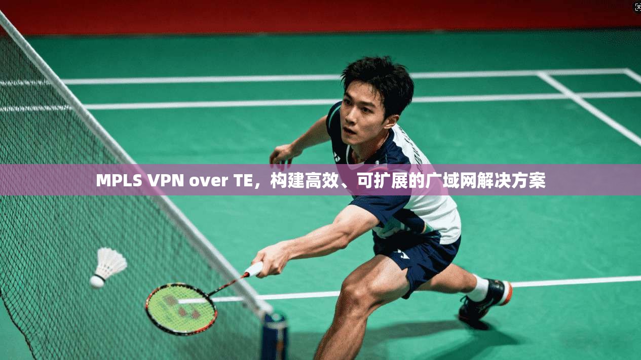 MPLS VPN over TE,构建高效、可扩展的广域网解决方案 MPLS VPN over TE,构建高效、可扩展的广域网解决方案