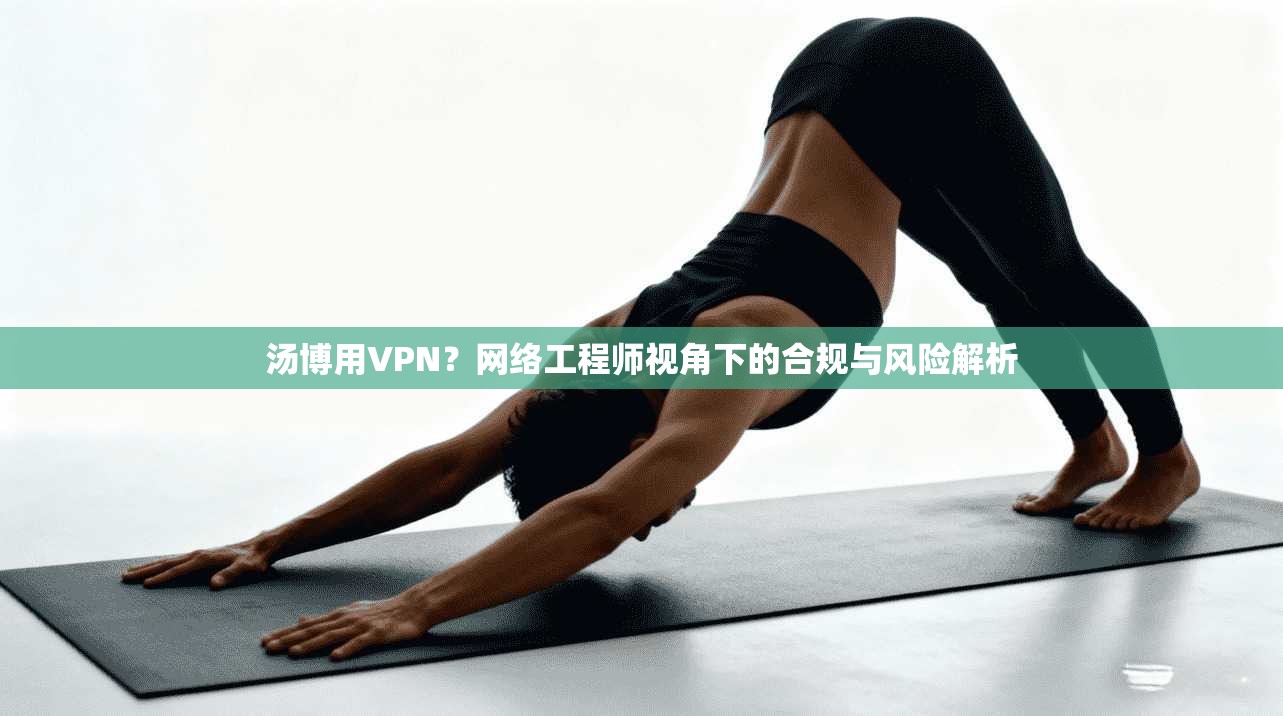 汤博用VPN？网络工程师视角下的合规与风险解析