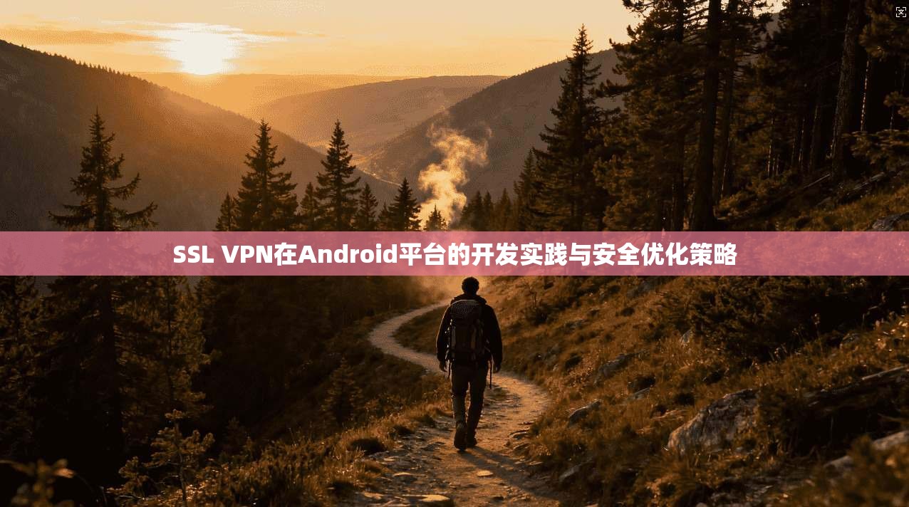 SSL VPN在Android平台的开发实践与安全优化策略