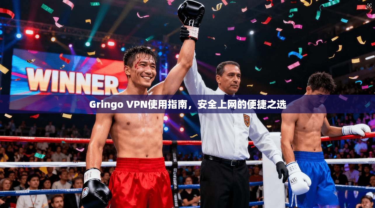 Gringo VPN使用指南,安全上网的便捷之选 Gringo VPN使用指南,安全上网的便捷之选