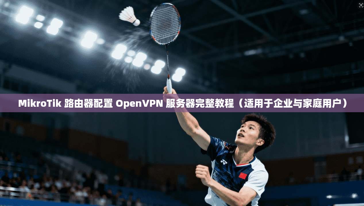 MikroTik 路由器配置 OpenVPN 服务器完整教程（适用于企业与家庭用户）