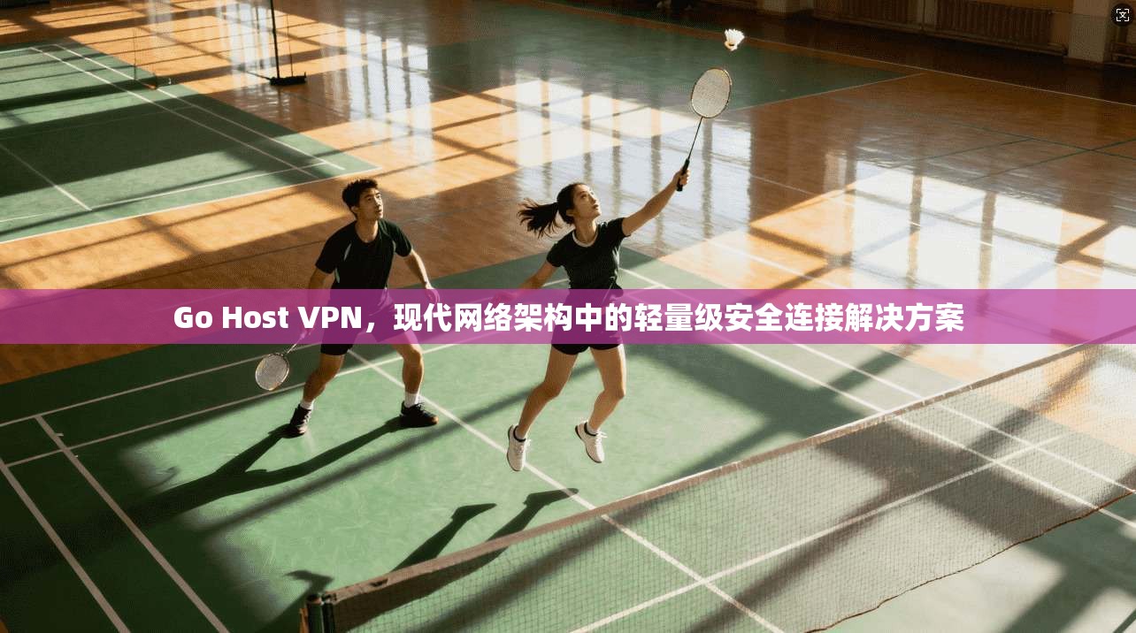 Go Host VPN，现代网络架构中的轻量级安全连接解决方案