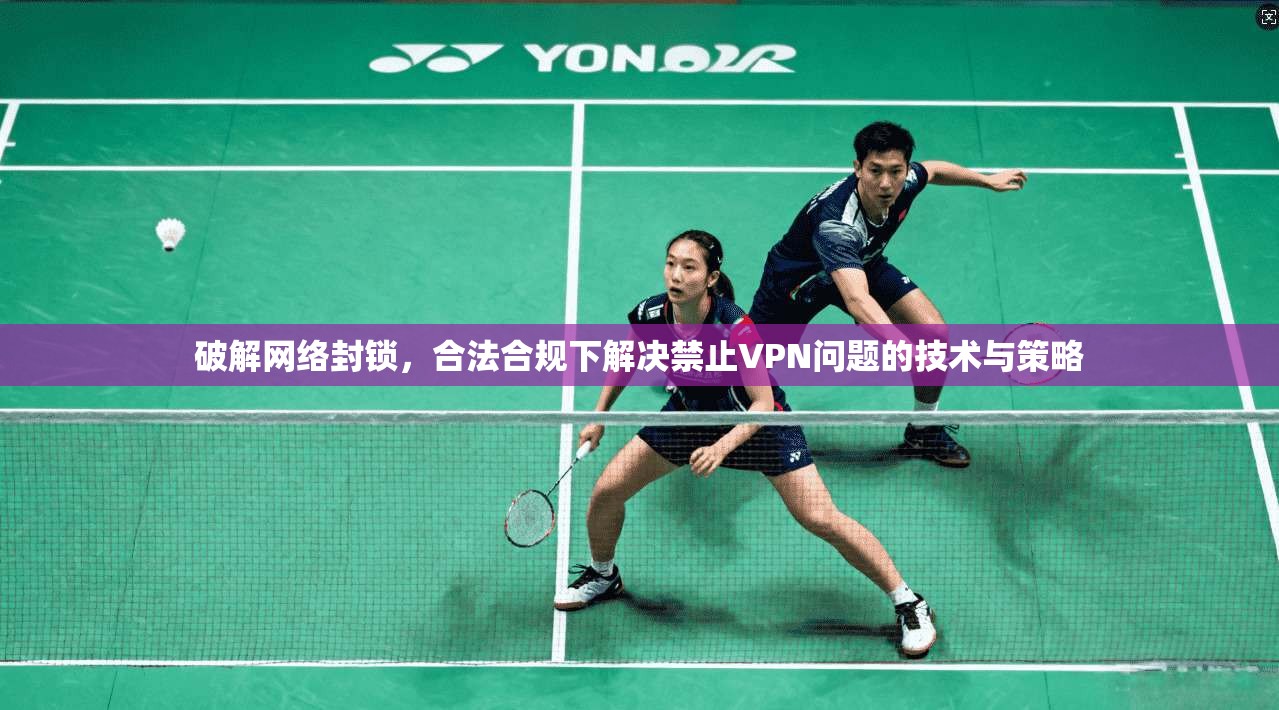 破解网络封锁,合法合规下解决禁止VPN问题的技术与策略 破解网络封锁,合法合规下解决禁止VPN问题的技术与策略