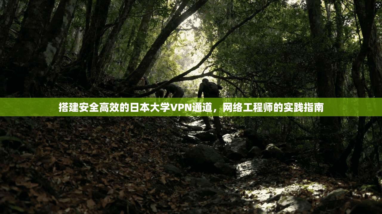 搭建安全高效的日本大学VPN通道,网络工程师的实践指南 搭建安全高效的日本大学VPN通道,网络工程师的实践指南
