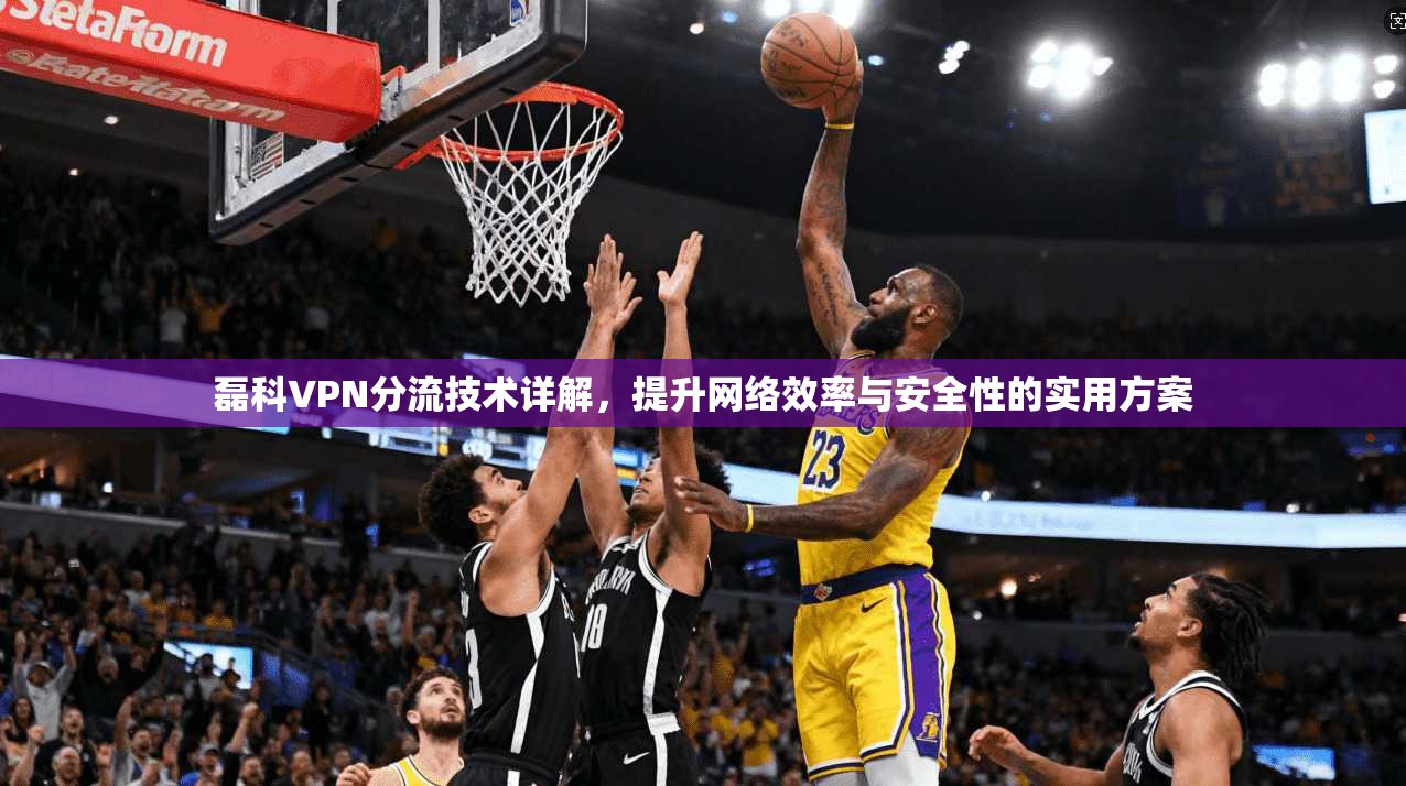 磊科VPN分流技术详解,提升网络效率与安全性的实用方案 磊科VPN分流技术详解,提升网络效率与安全性的实用方案