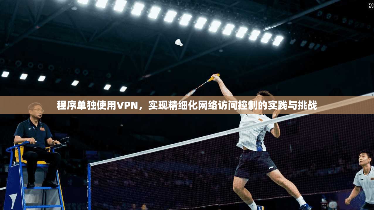 程序单独使用VPN，实现精细化网络访问控制的实践与挑战