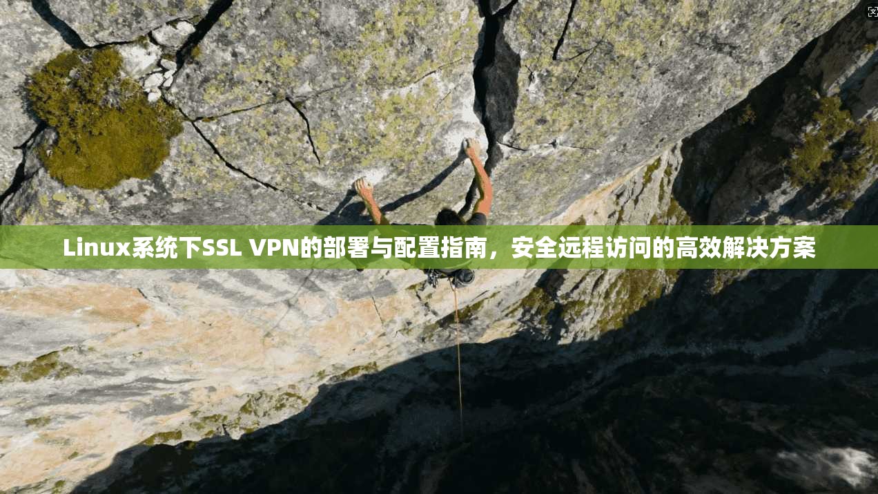 Linux系统下SSL VPN的部署与配置指南,安全远程访问的高效解决方案 Linux系统下SSL VPN的部署与配置指南,安全远程访问的高效解决方案