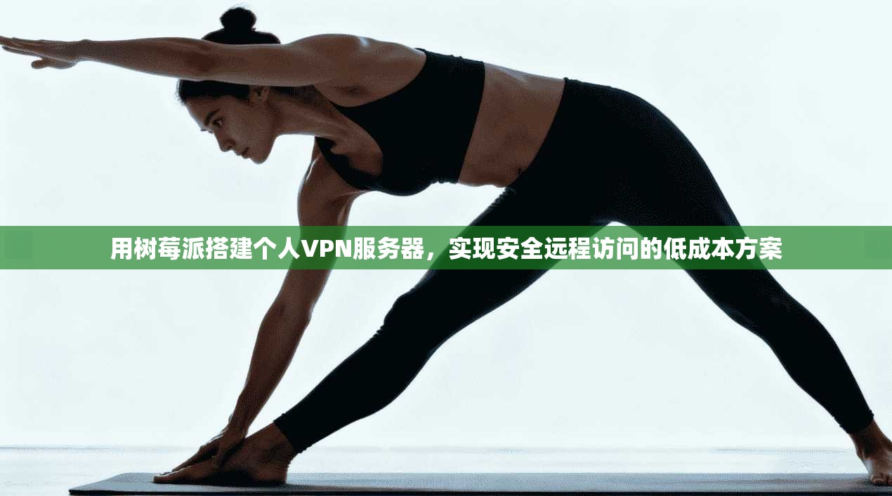 用树莓派搭建个人VPN服务器，实现安全远程访问的低成本方案