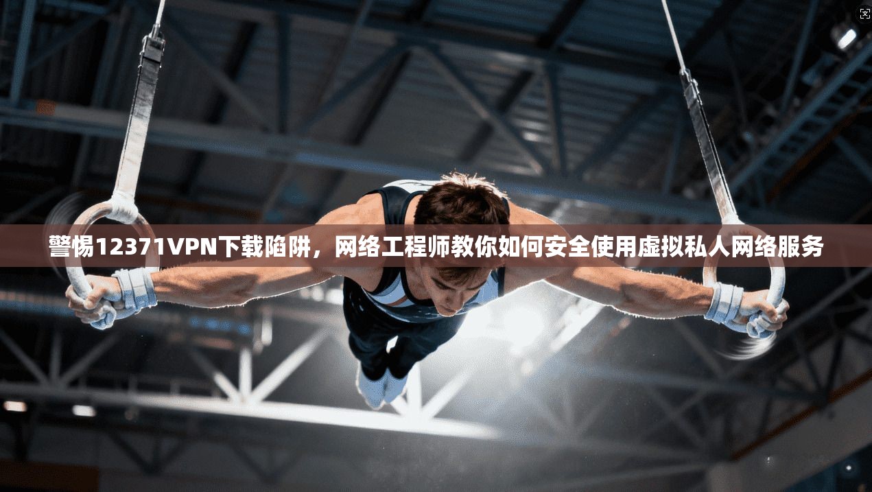 警惕12371VPN下载陷阱，网络工程师教你如何安全使用虚拟私人网络服务