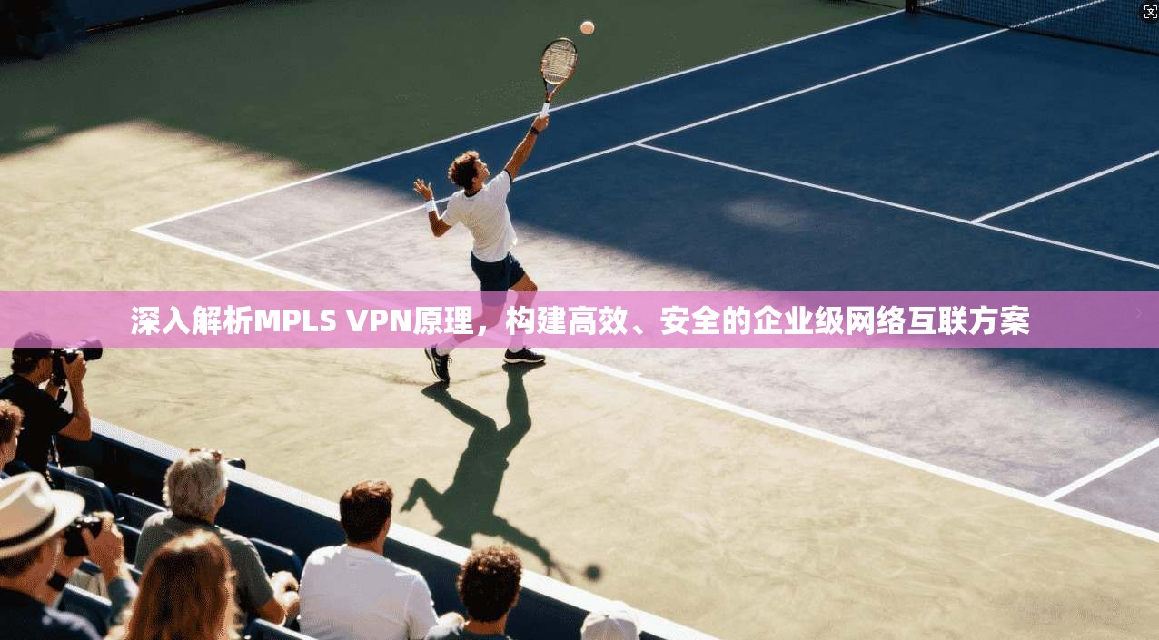 深入解析MPLS VPN原理，构建高效、安全的企业级网络互联方案
