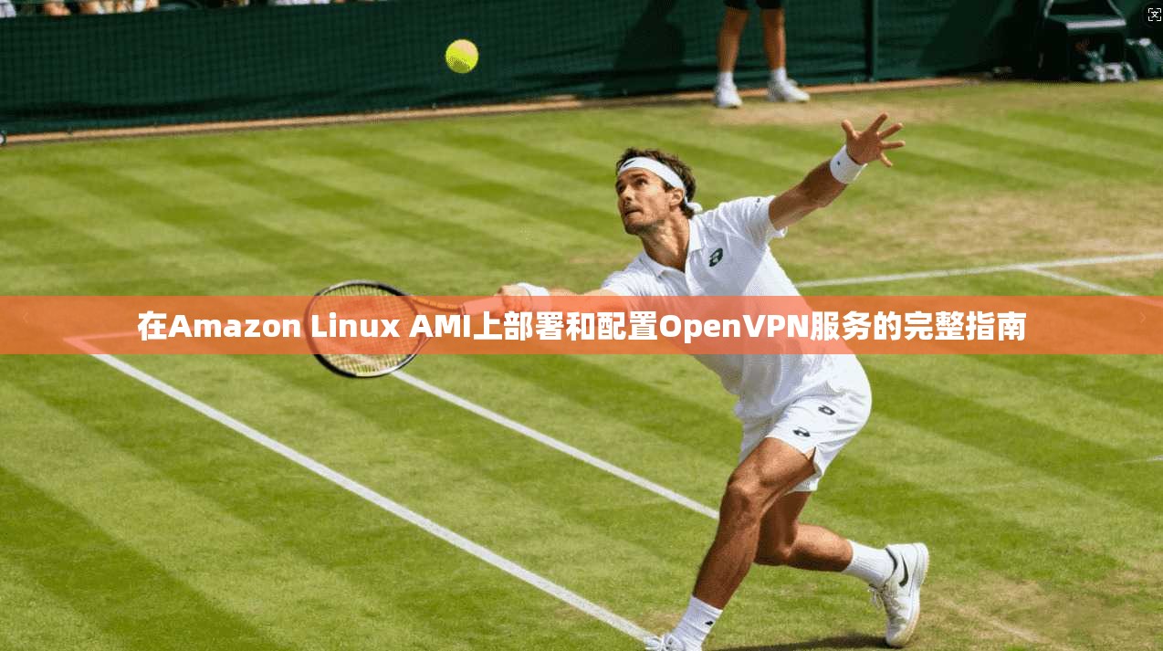 在Amazon Linux AMI上部署和配置OpenVPN服务的完整指南