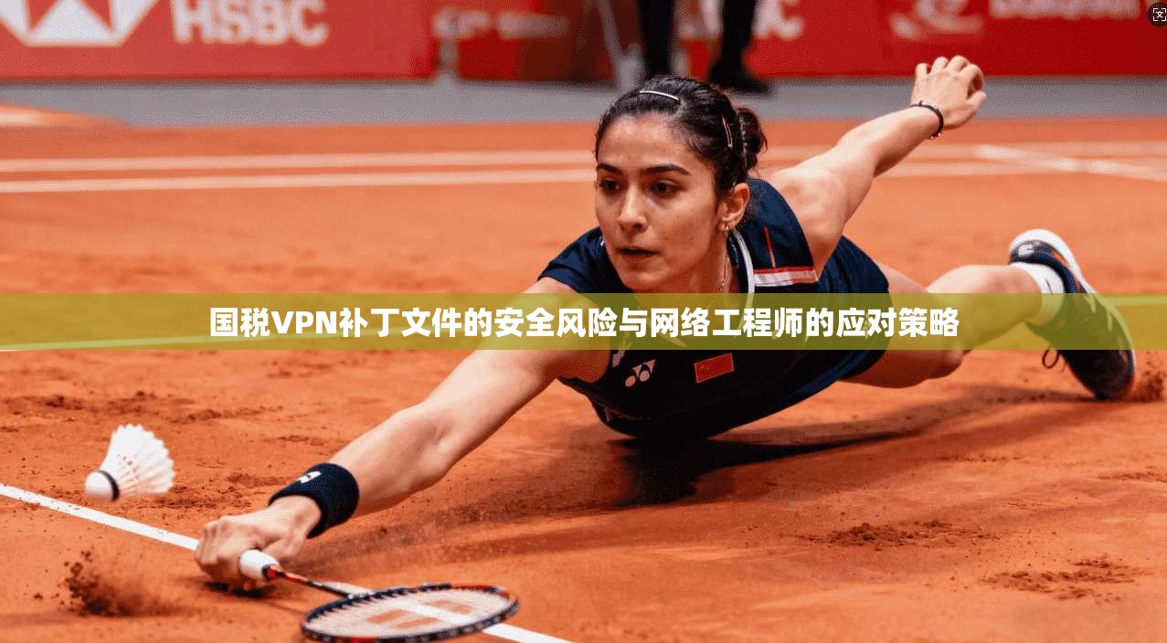 国税VPN补丁文件的安全风险与网络工程师的应对策略
