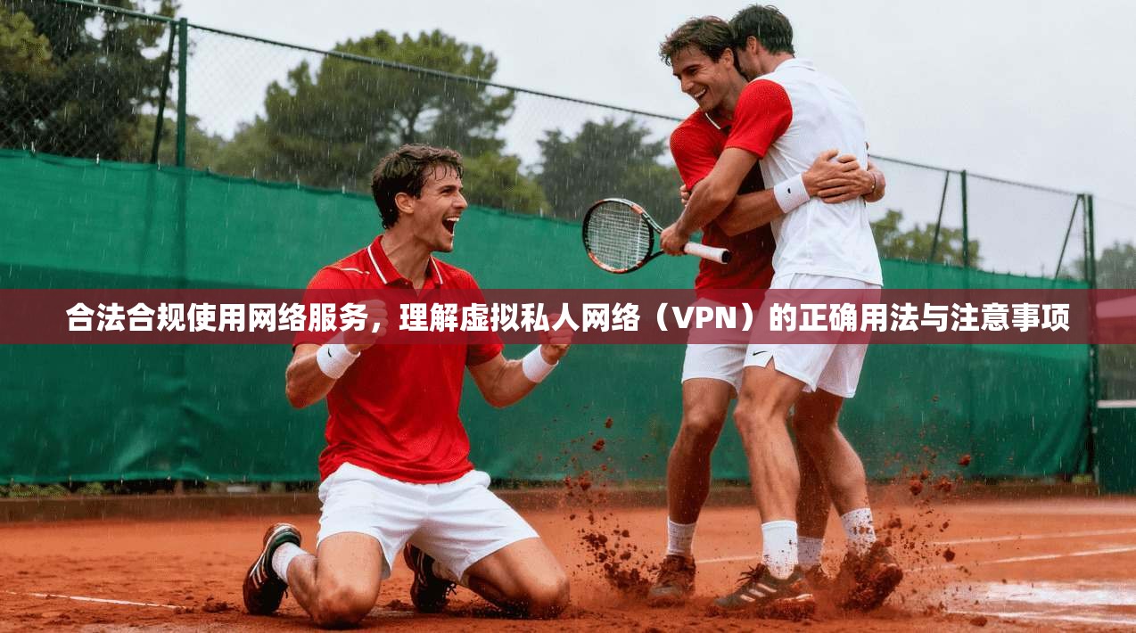 合法合规使用网络服务,理解虚拟私人网络(VPN)的正确用法与注意事项 合法合规使用网络服务,理解虚拟私人网络(VPN)的正确用法与注意事项