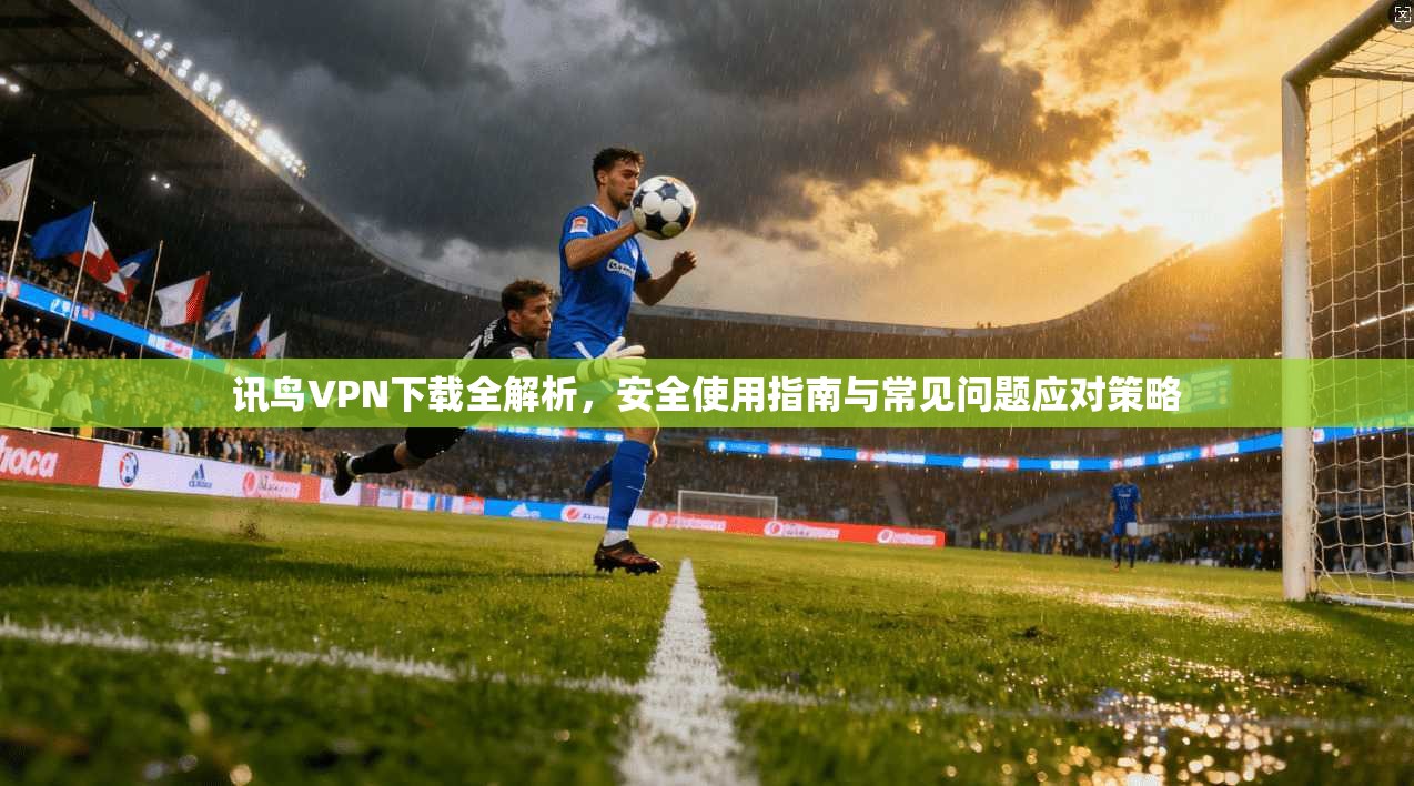 讯鸟VPN下载全解析,安全使用指南与常见问题应对策略 讯鸟VPN下载全解析,安全使用指南与常见问题应对策略
