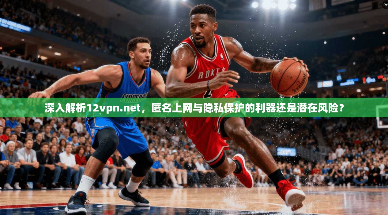 深入解析12vpn.net，匿名上网与隐私保护的利器还是潜在风险？