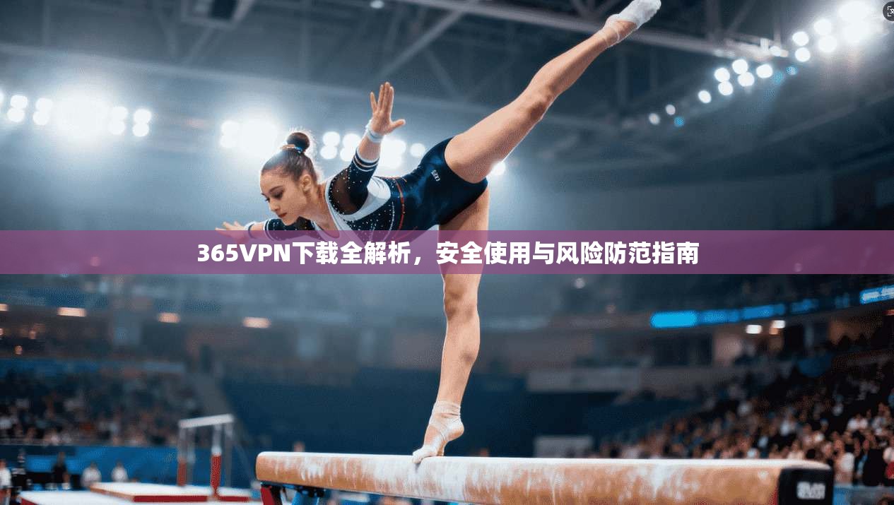 365VPN下载全解析，安全使用与风险防范指南