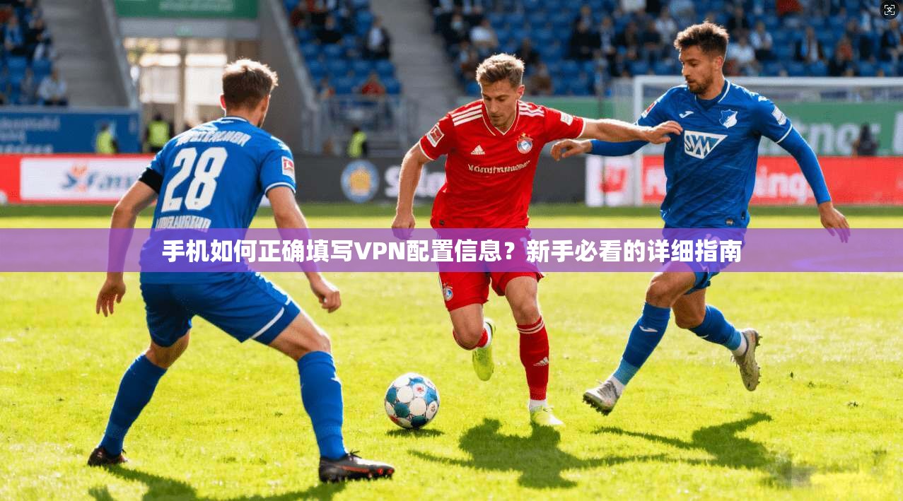 手机如何正确填写VPN配置信息?新手必看的详细指南 手机如何正确填写VPN配置信息?新手必看的详细指南