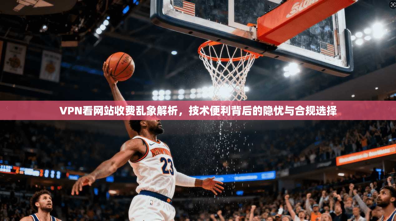 VPN看网站收费乱象解析，技术便利背后的隐忧与合规选择