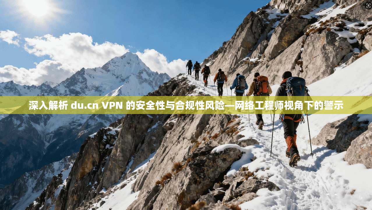 深入解析 du.cn VPN 的安全性与合规性风险—网络工程师视角下的警示