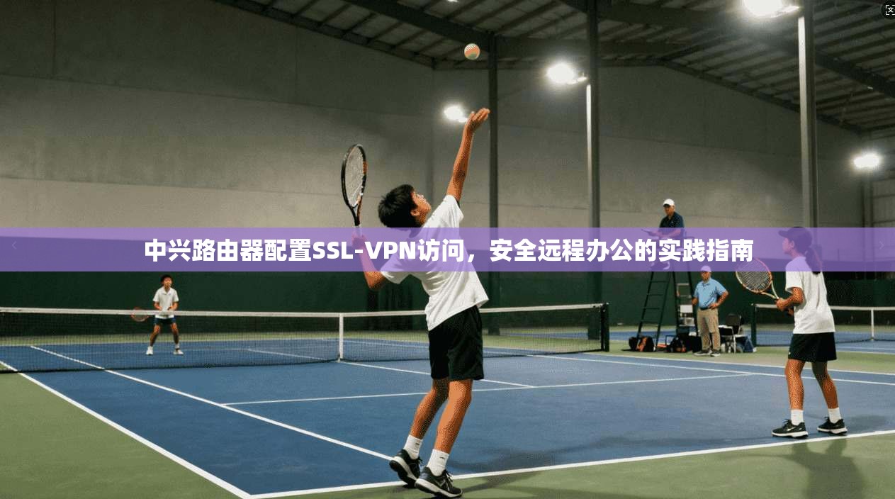 中兴路由器配置SSL-VPN访问,安全远程办公的实践指南 中兴路由器配置SSL-VPN访问,安全远程办公的实践指南