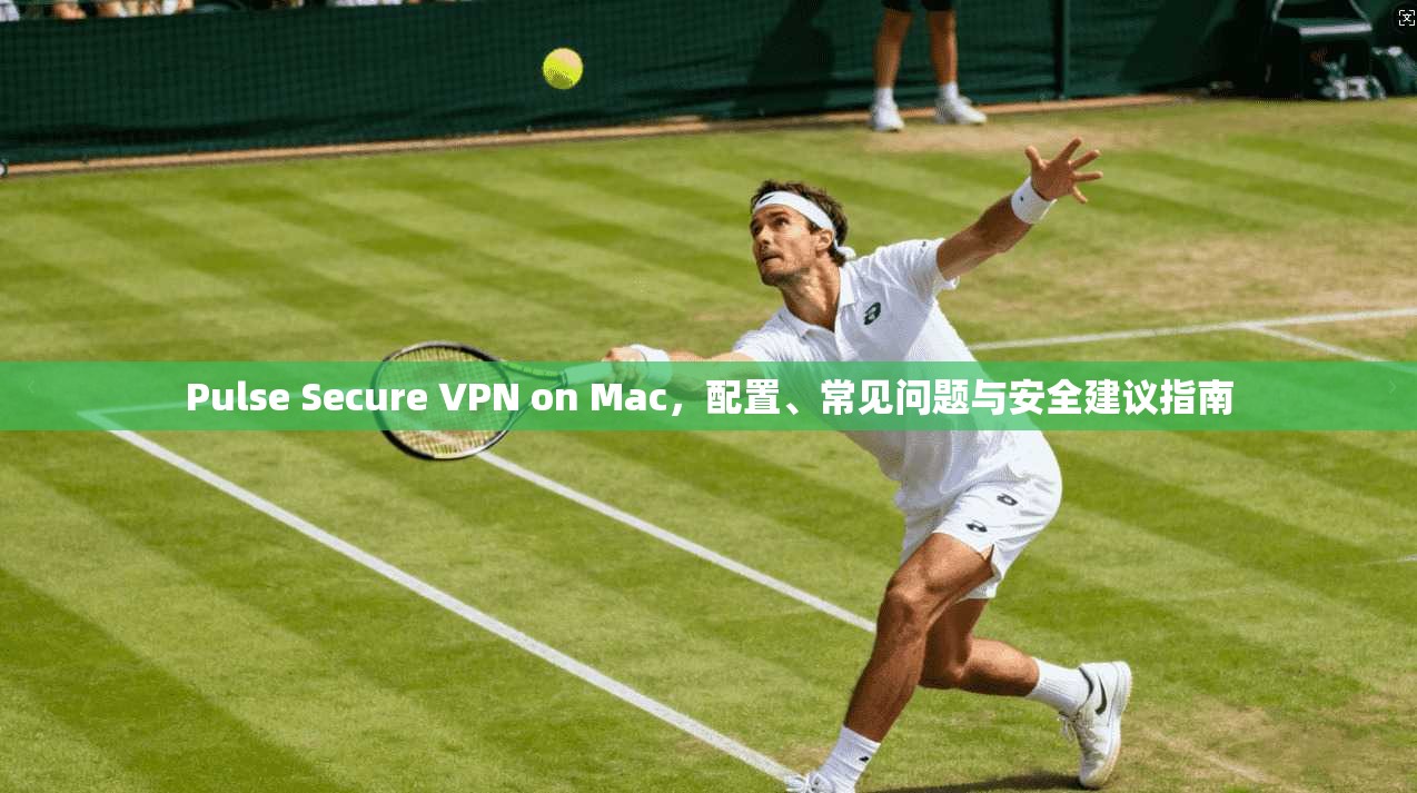 Pulse Secure VPN on Mac，配置、常见问题与安全建议指南