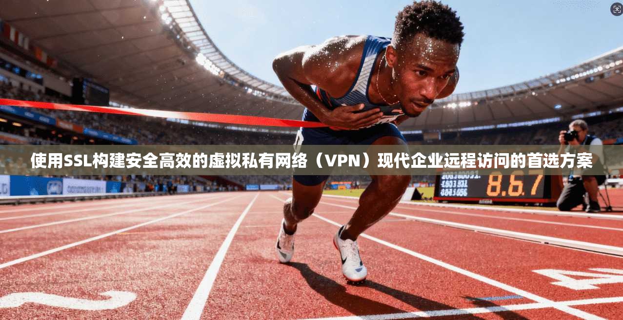 使用SSL构建安全高效的虚拟私有网络(VPN)现代企业远程访问的首选方案 使用SSL构建安全高效的虚拟私有网络(VPN)现代企业远程访问的首选方案