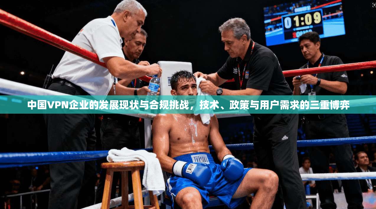 中国VPN企业的发展现状与合规挑战，技术、政策与用户需求的三重博弈