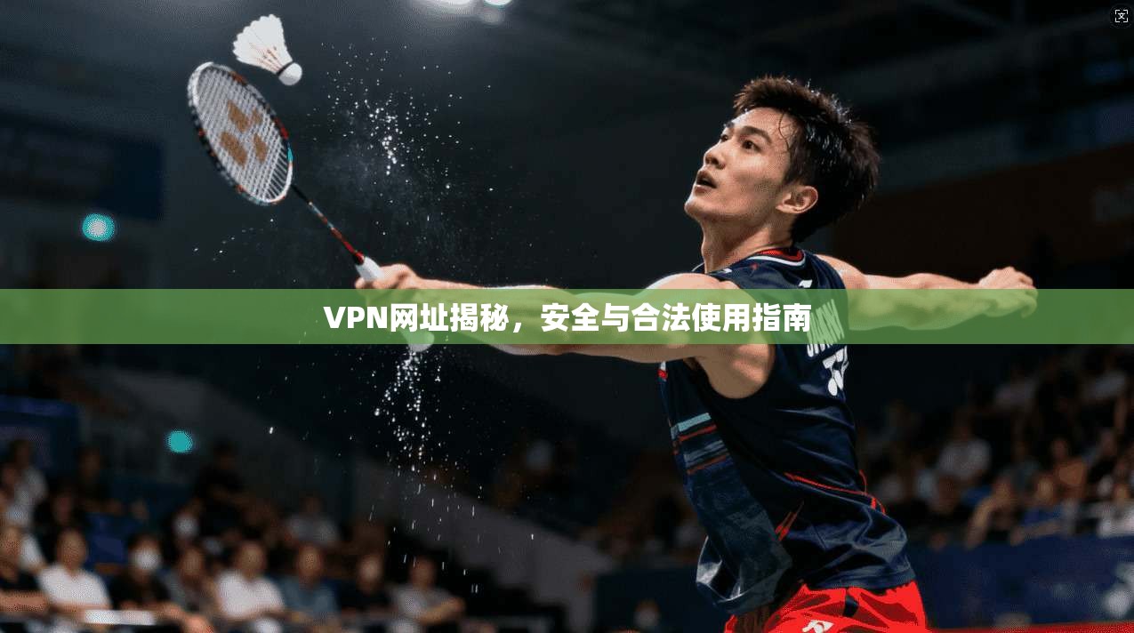 VPN网址揭秘,安全与合法使用指南 VPN网址揭秘,安全与合法使用指南