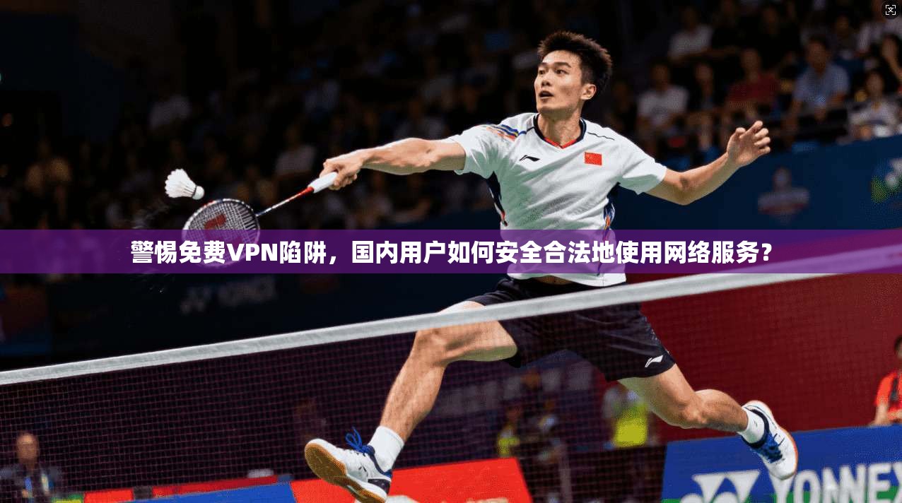 警惕免费VPN陷阱，国内用户如何安全合法地使用网络服务？