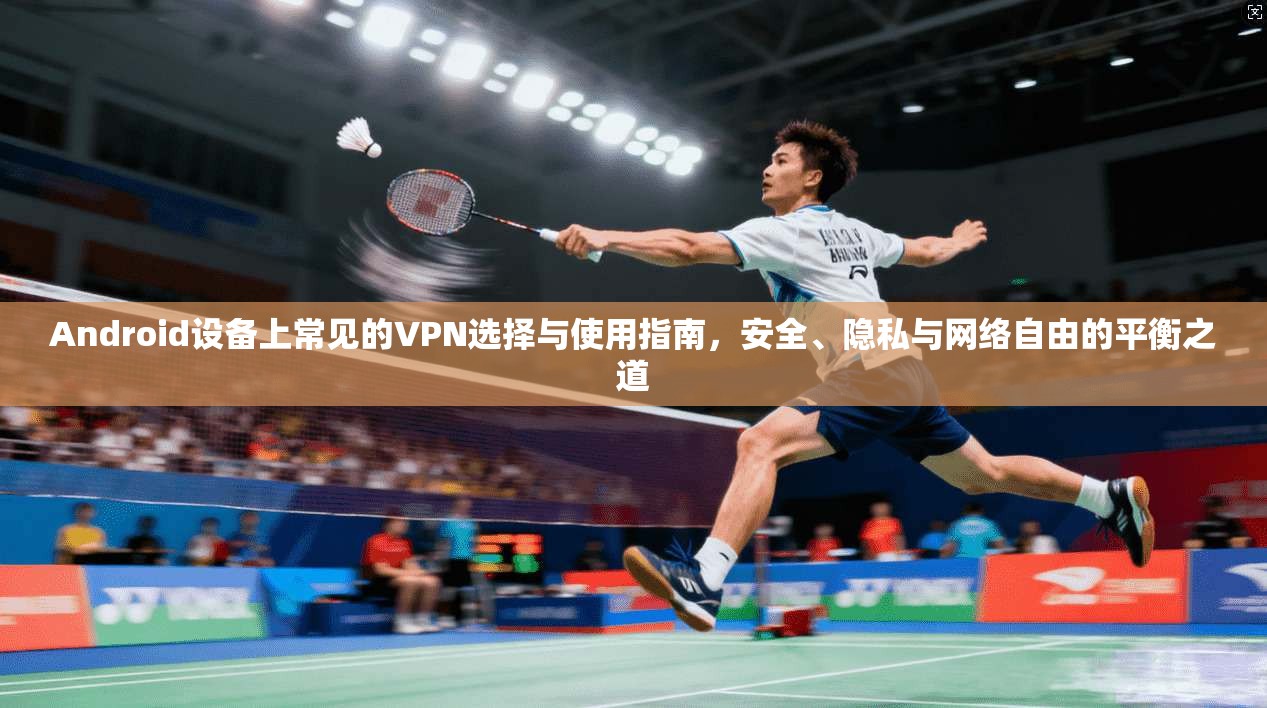 Android设备上常见的VPN选择与使用指南，安全、隐私与网络自由的平衡之道