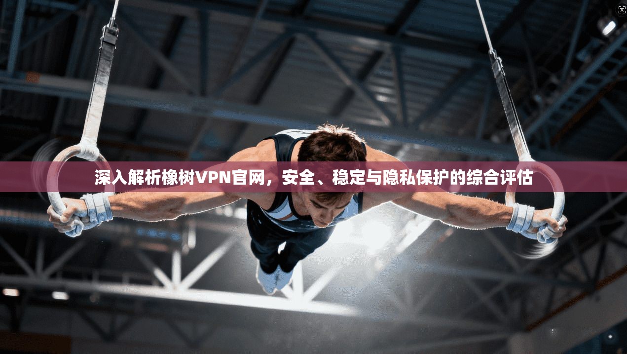 深入解析橡树VPN官网,安全、稳定与隐私保护的综合评估 深入解析橡树VPN官网,安全、稳定与隐私保护的综合评估