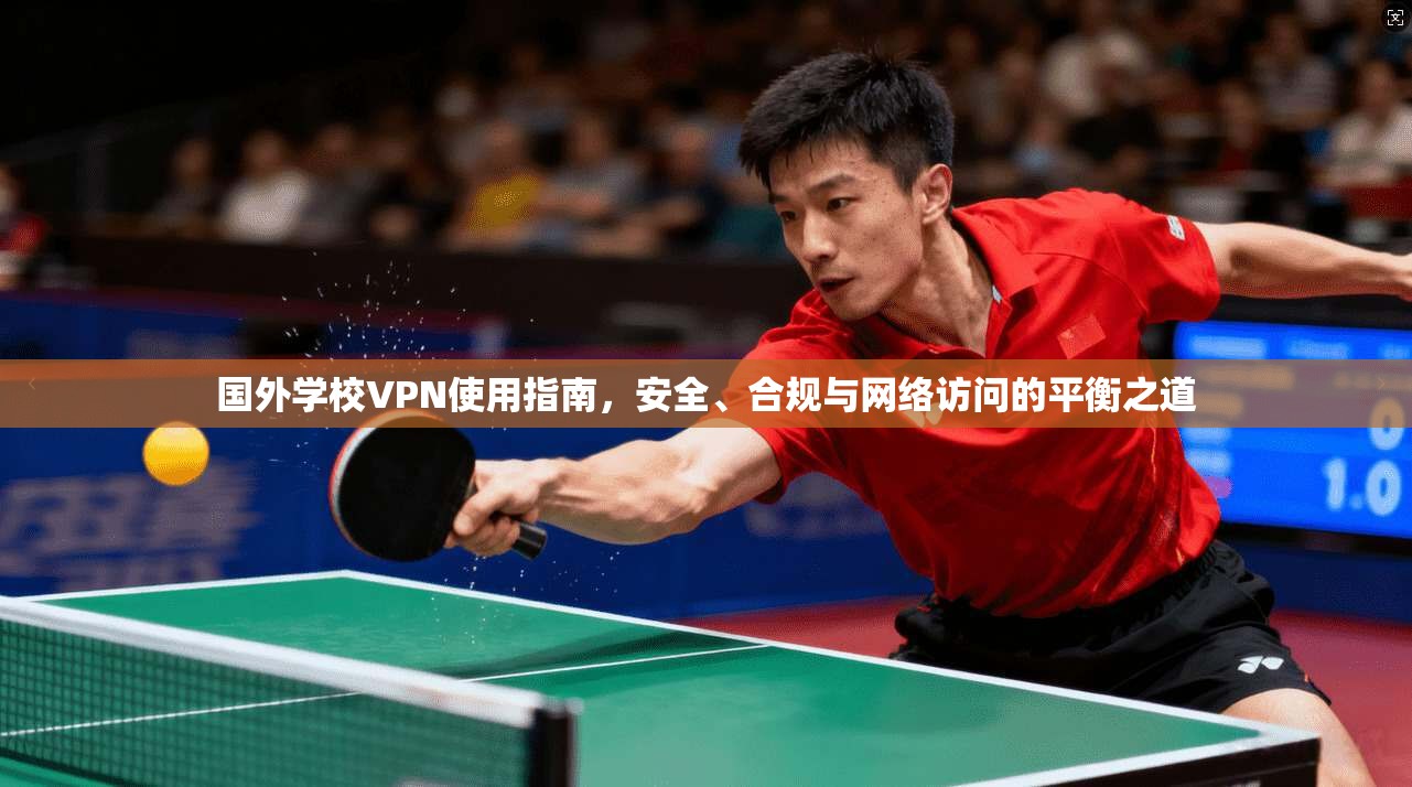 国外学校VPN使用指南，安全、合规与网络访问的平衡之道