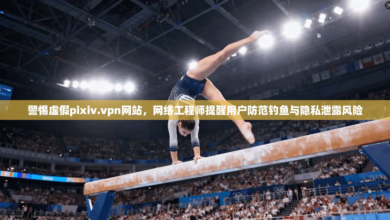 警惕虚假pixiv.vpn网站，网络工程师提醒用户防范钓鱼与隐私泄露风险
