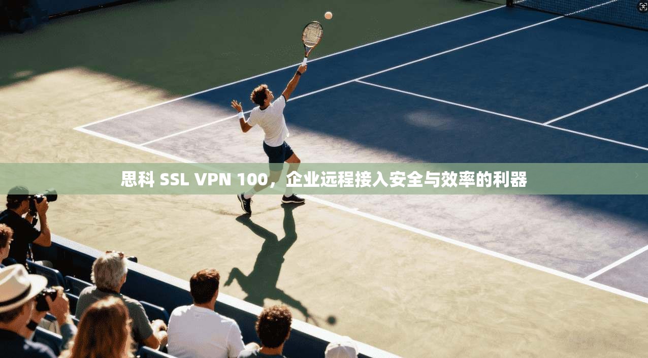 思科 SSL VPN 100,企业远程接入安全与效率的利器 思科 SSL VPN 100,企业远程接入安全与效率的利器