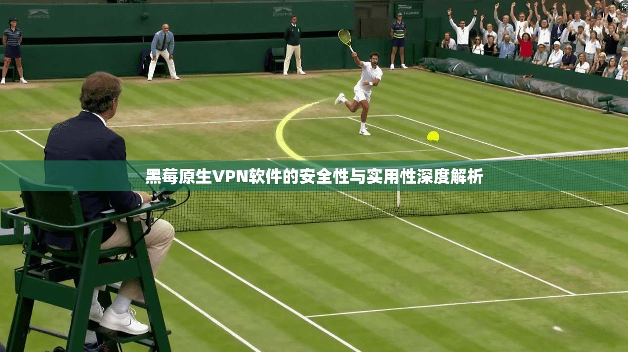 黑莓原生VPN软件的安全性与实用性深度解析 黑莓原生VPN软件的安全性与实用性深度解析