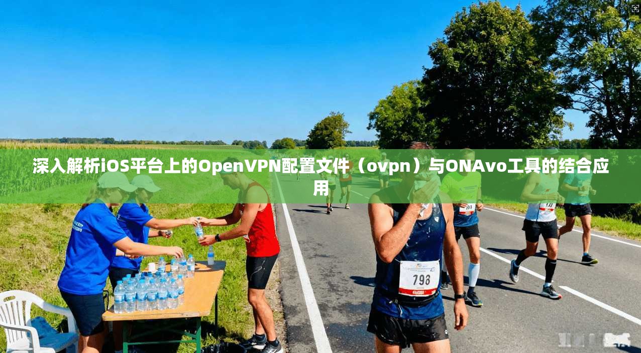 深入解析iOS平台上的OpenVPN配置文件(ovpn)与ONAvo工具的结合应用 深入解析iOS平台上的OpenVPN配置文件(ovpn)与ONAvo工具的结合应用