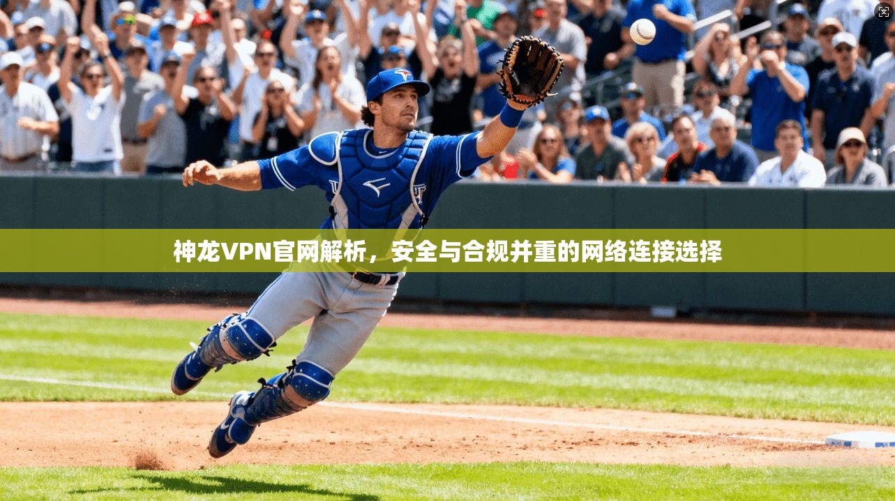 神龙VPN官网解析，安全与合规并重的网络连接选择