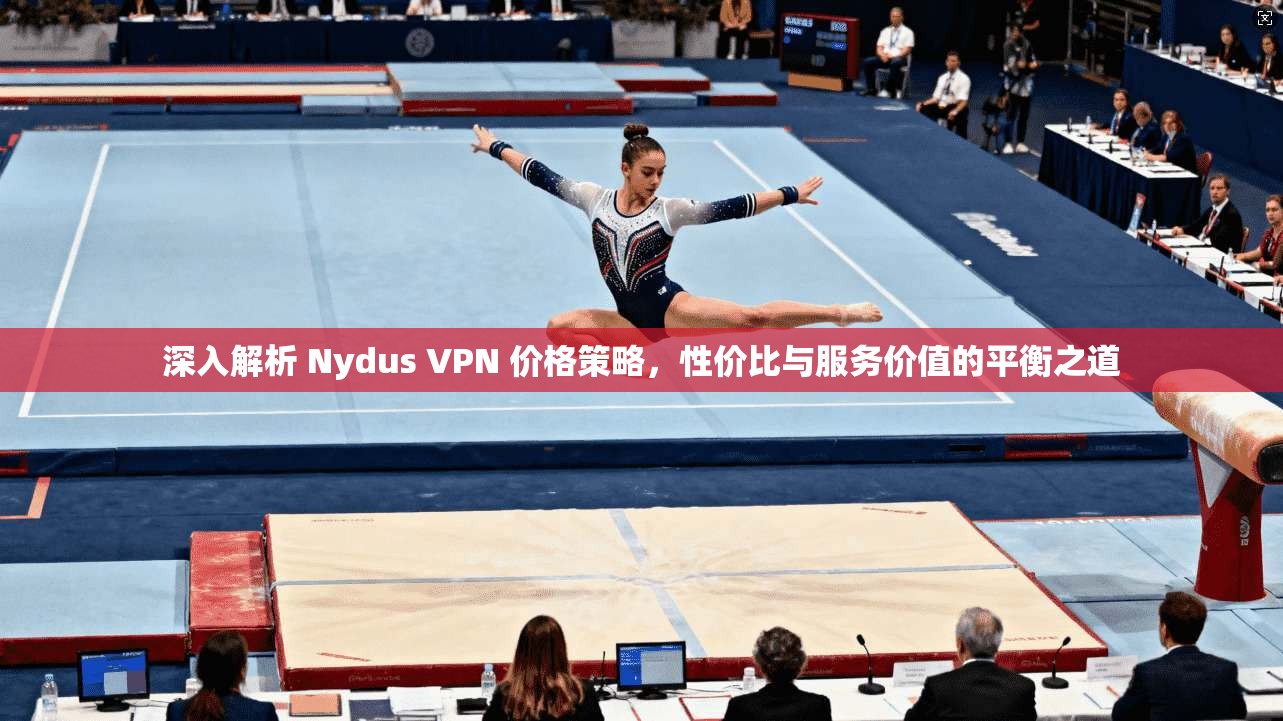 深入解析 Nydus VPN 价格策略，性价比与服务价值的平衡之道