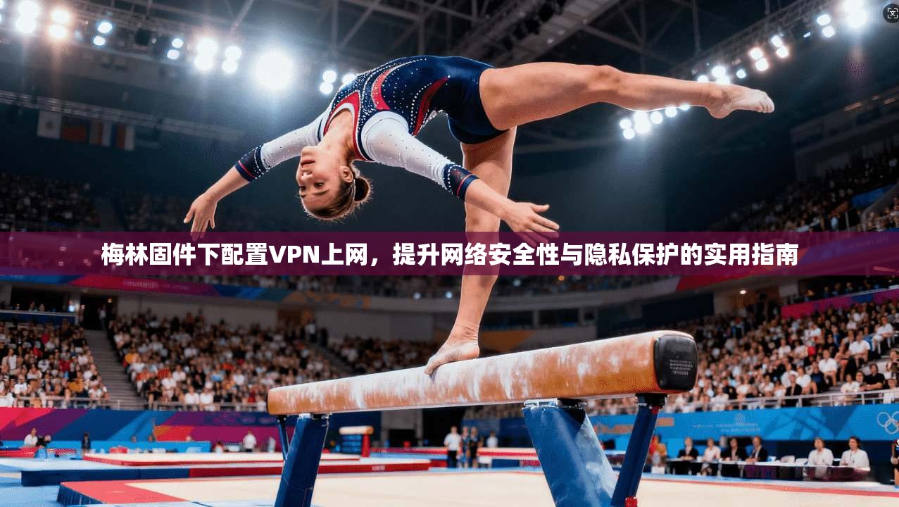 梅林固件下配置VPN上网,提升网络安全性与隐私保护的实用指南 梅林固件下配置VPN上网,提升网络安全性与隐私保护的实用指南