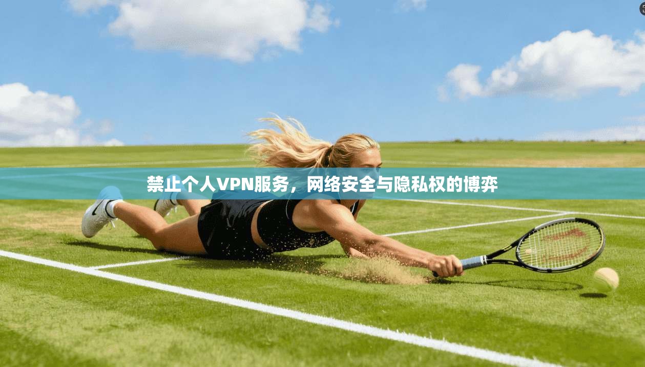 禁止个人VPN服务，网络安全与隐私权的博弈