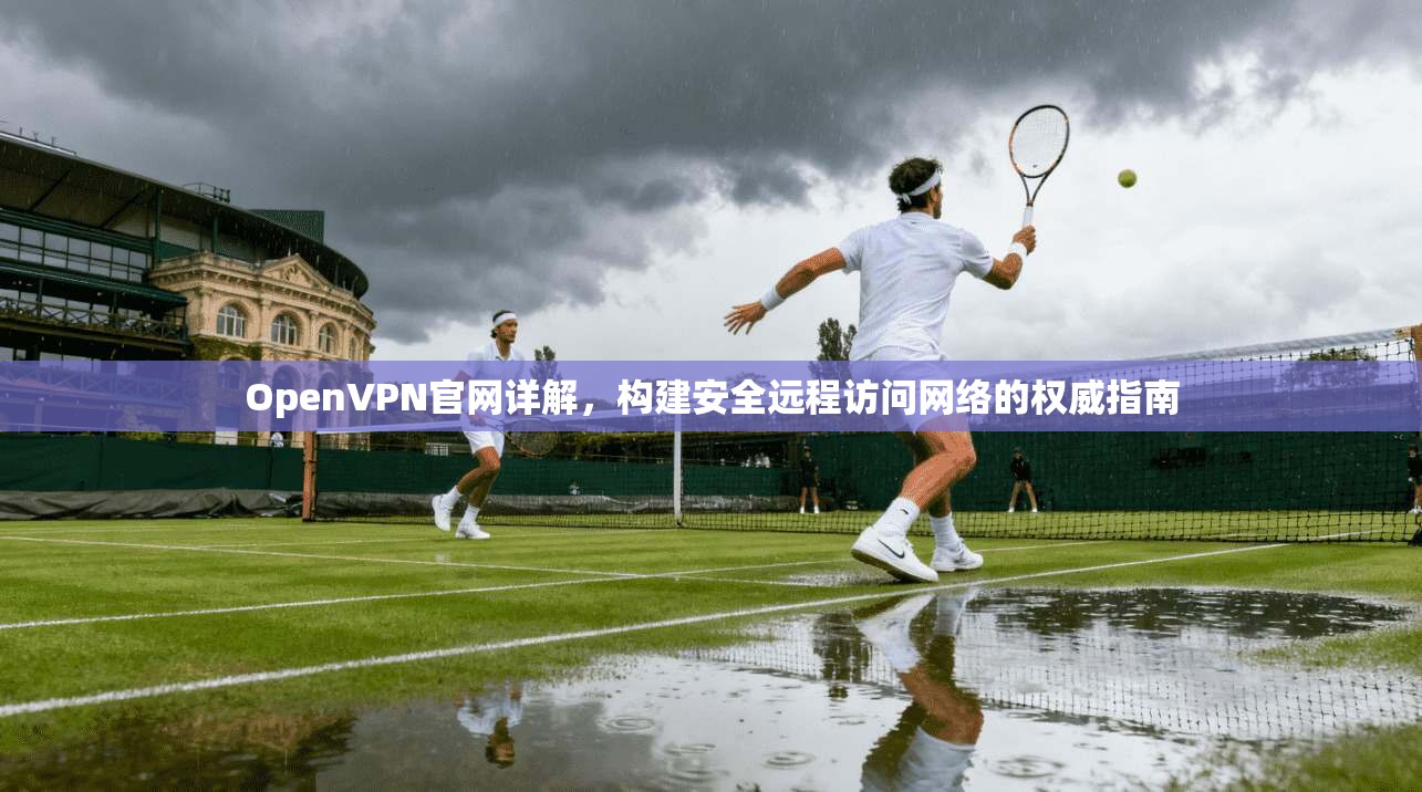 OpenVPN官网详解，构建安全远程访问网络的权威指南
