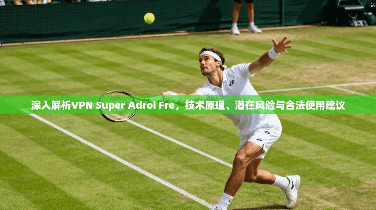 深入解析VPN Super Adroi Fre,技术原理、潜在风险与合法使用建议 深入解析VPN Super Adroi Fre,技术原理、潜在风险与合法使用建议
