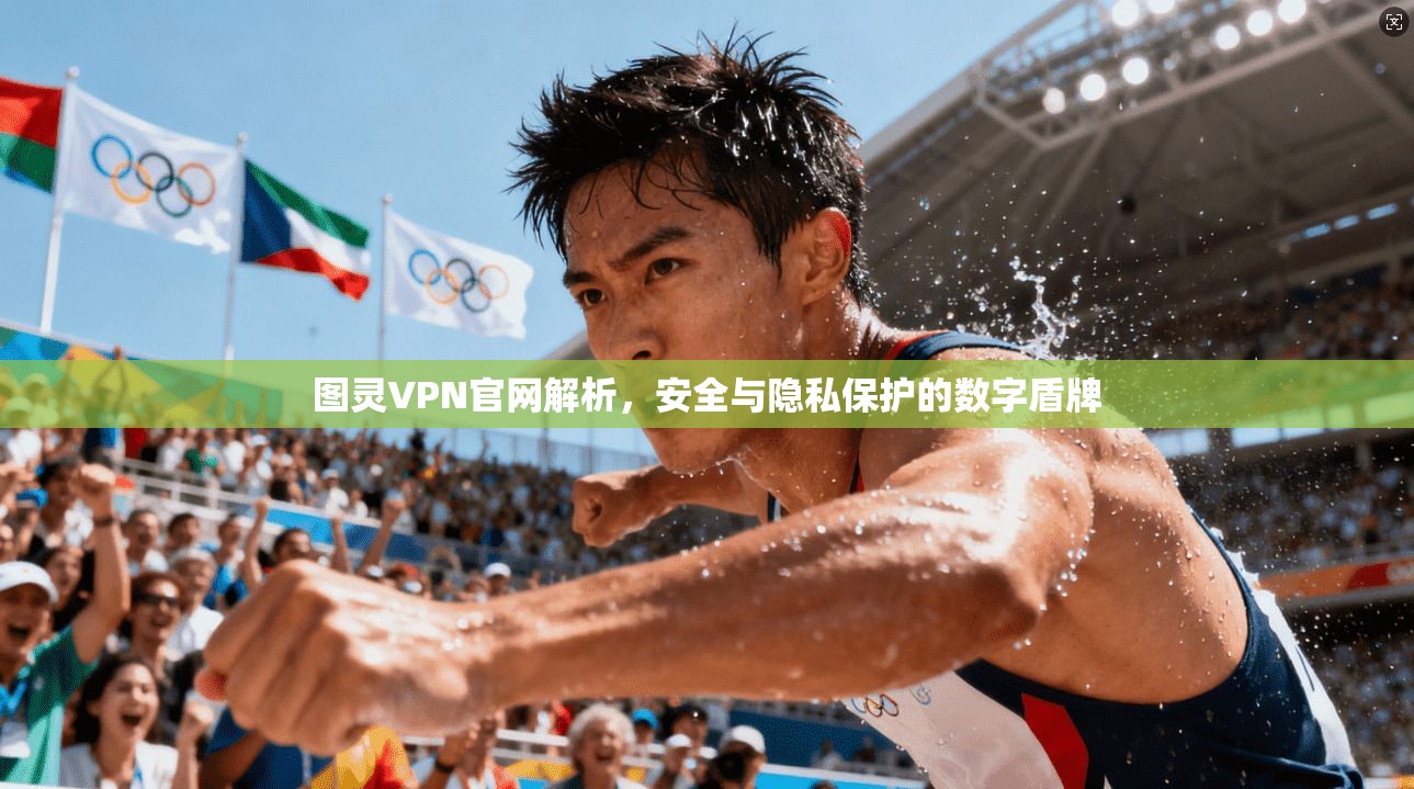 图灵VPN官网解析,安全与隐私保护的数字盾牌 图灵VPN官网解析,安全与隐私保护的数字盾牌