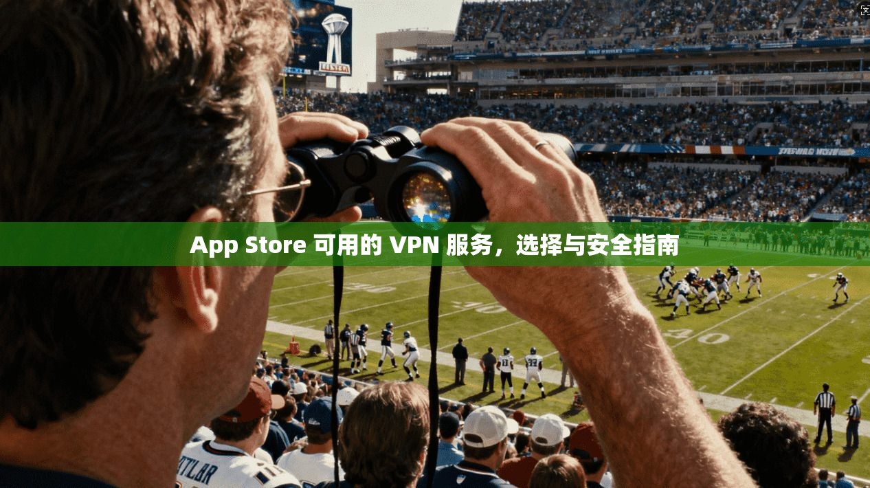 App Store 可用的 VPN 服务,选择与安全指南 App Store 可用的 VPN 服务,选择与安全指南
